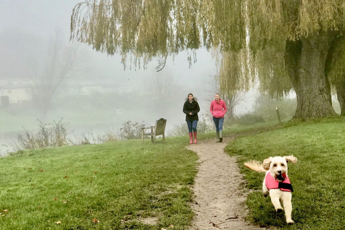 Evesham Welcomes Walkers, Local Walks: dog walkers by the River Avon